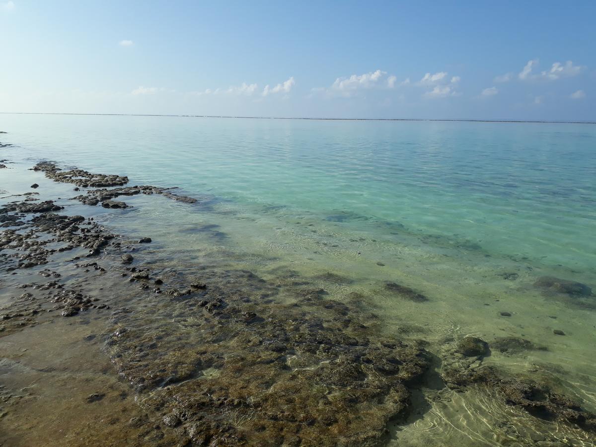 نزل صنرايز ثودو المظهر الخارجي الصورة